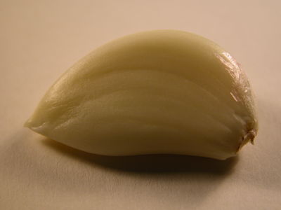 Garlic Clove