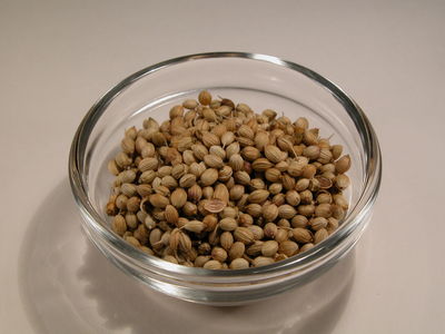 Coriander Seeds