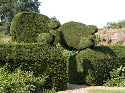 Peacock Topiary