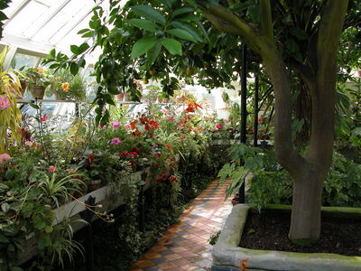 Orangery