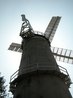 Denver Windmill