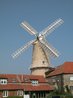 Denver Windmill