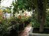 Orangery