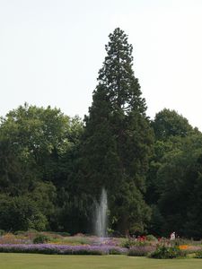 Parterre