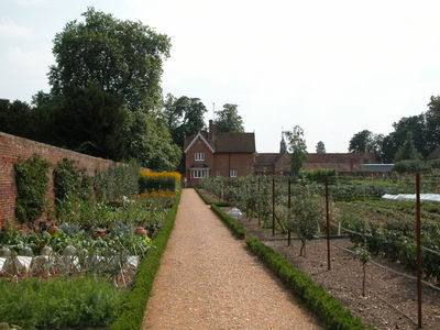 Organic Kitchen Garden