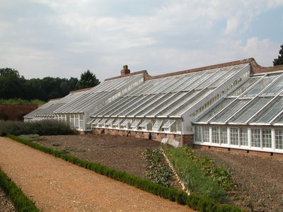Organic Kitchen Garden