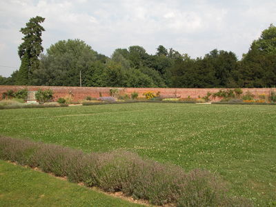 Organic Kitchen Garden