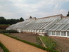 Organic Kitchen Garden
