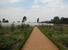 Organic Kitchen Garden