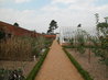 Organic Kitchen Garden