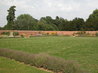 Organic Kitchen Garden