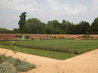 Organic Kitchen Garden