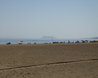 Estepona