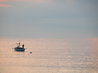 The Lone Fisherman