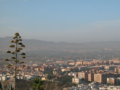 Granada