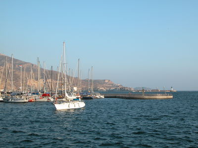The Port