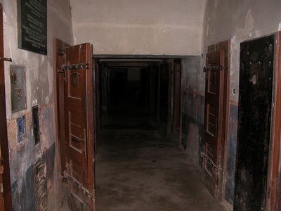 Solitary Confinements