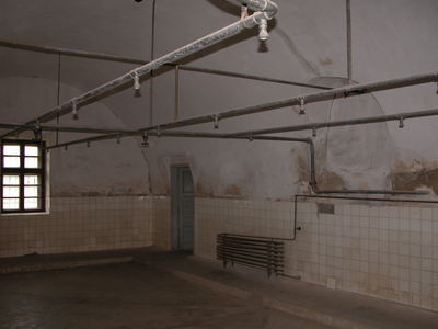 The Shower Room