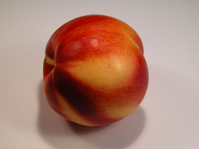 Nectarine