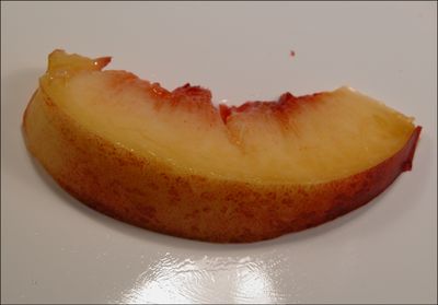 Nectarine Slice