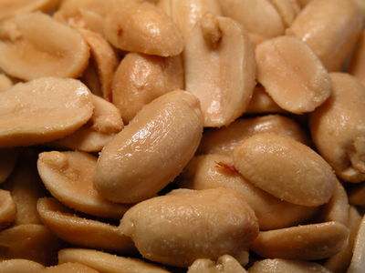Roasted Peanuts