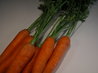 Carrots