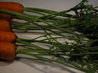 Carrot Tops