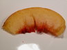 Nectarine Slice