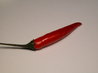 Bird Eye Chili