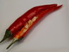 Bird Eye Chili