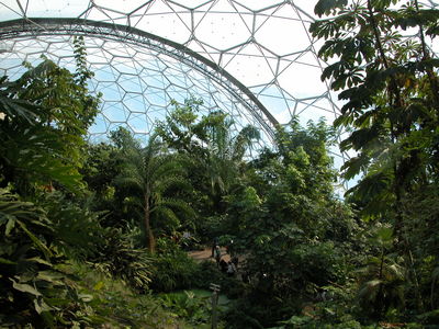 Humid Tropics Biome