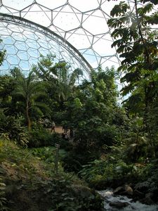 Humid Tropics Biome