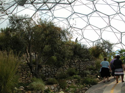 Warm Temperate Biome