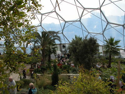 Warm Temperate Biome