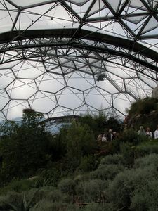 Warm Temperate Biome