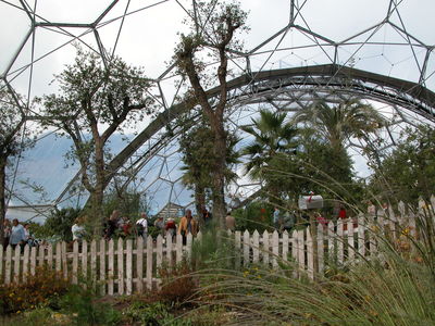 Warm Temperate Biome