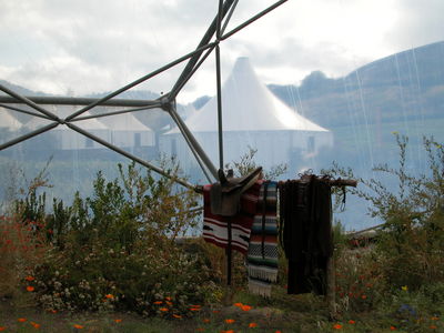 Warm Temperate Biome