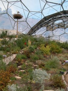 Warm Temperate Biome