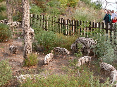 Warm Temperate Biome