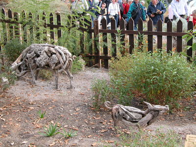 Warm Temperate Biome