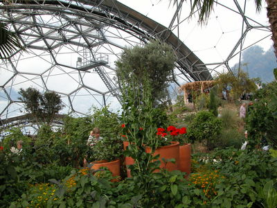 Warm Temperate Biome