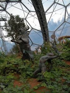 Warm Temperate Biome