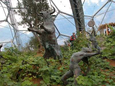 Warm Temperate Biome