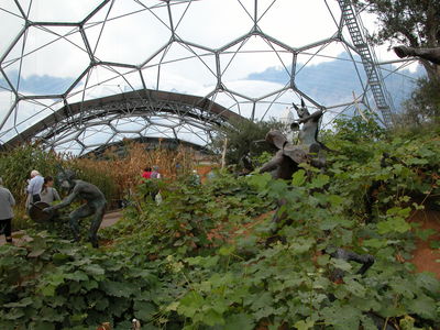 Warm Temperate Biome