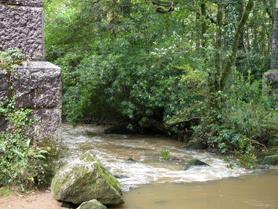 Treffry Viaduct