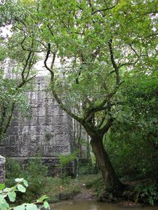 Treffry Viaduct