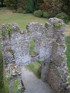 Restormel Castle