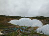 Eden Project