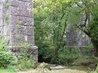 Treffry Viaduct