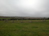 Merry Maidens Stone Circle